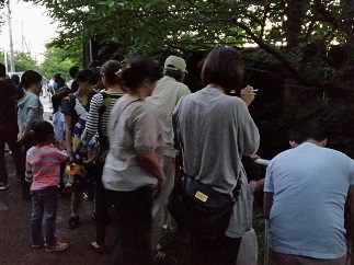 2016-06-05-h-12.jpg