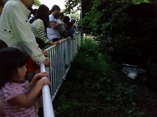 2016-06-05-h-13.jpg