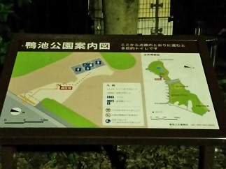 2016-06-11-kh-3.jpg