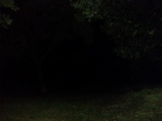 2016-06-11-kh-7.jpg