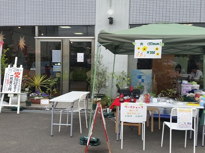 2017-04-22-sm-26.jpg