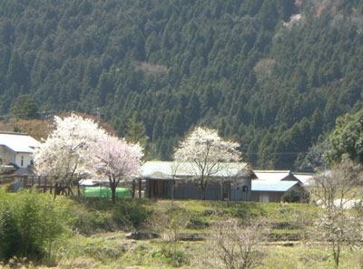 国道157号線