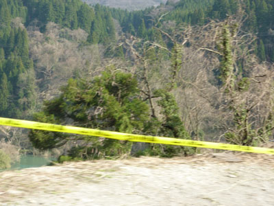 頭部のない女性の遺体が見つかった事件