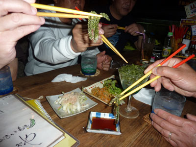 石垣島うさぎや