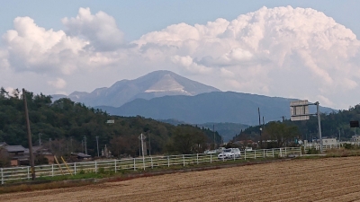 DSC_1037.jpg