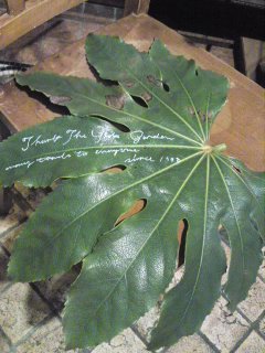 100226_1803~01.jpg