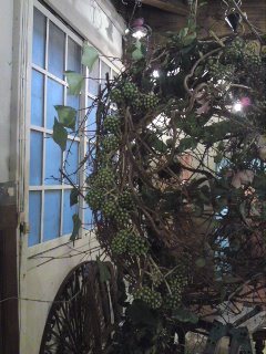 100226_1702~03.jpg