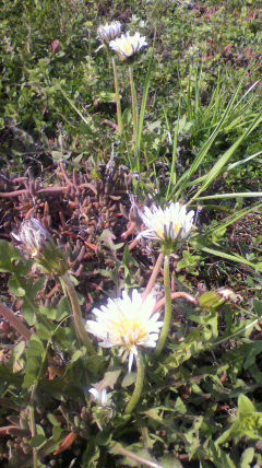 2010032214240000.jpg