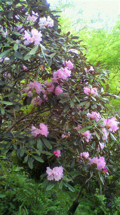 2010042410370000.jpg
