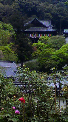2010042410540001.jpg