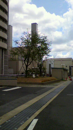 2010060110320000.jpg