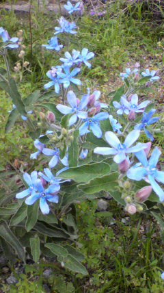 2010060110330000.jpg