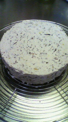 2010082723250000.jpg