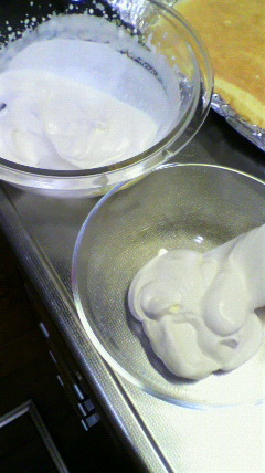 2010082722440000.jpg