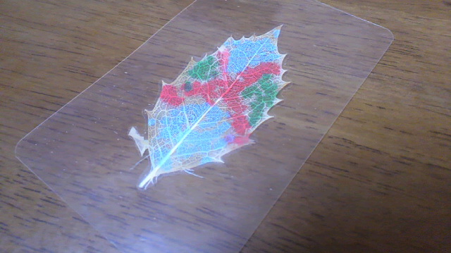 2010110621500000.jpg