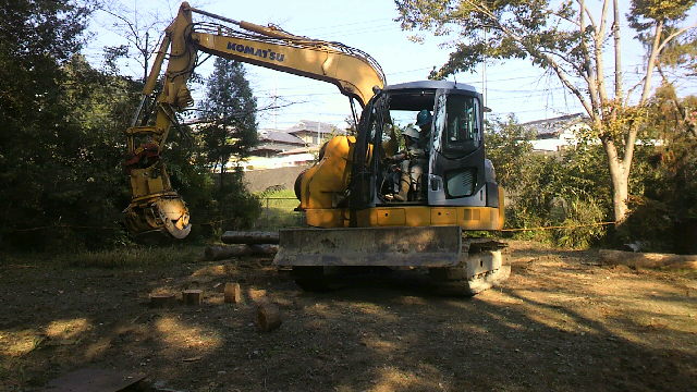 2010110614310003.jpg