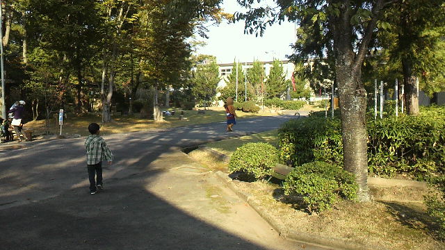 2010110614480000.jpg
