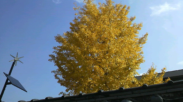 2010112610290000.jpg