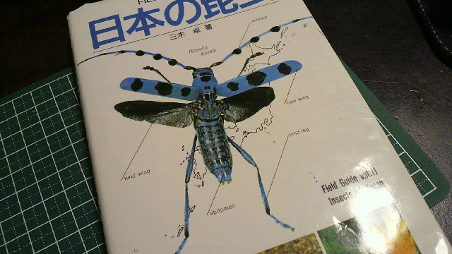 2011051121170000.jpg