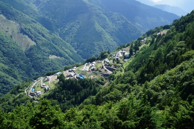 テレビ