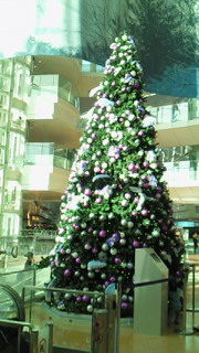 201012041330000.jpg