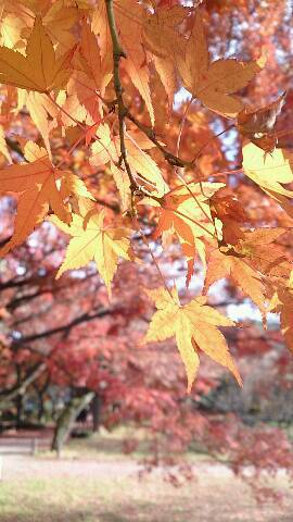 img20131210_154647.jpg