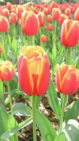 img20140416_031536.jpg