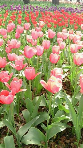 img20140416_032009.jpg