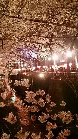 img20140416_032138.jpg