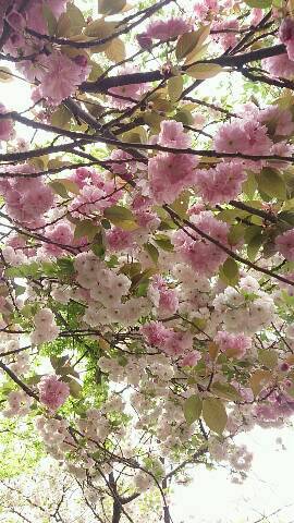 img20140416_032419.jpg