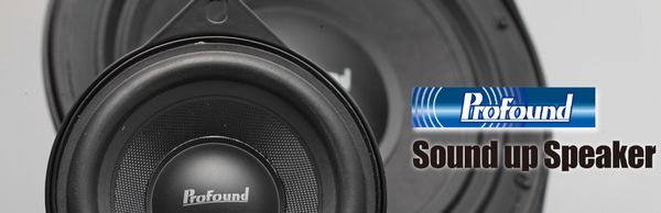 Prosound£ó.jpg