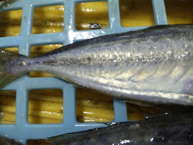 110629_120441.jpg
