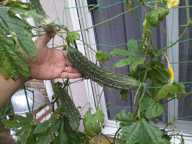 120629_070831.jpg