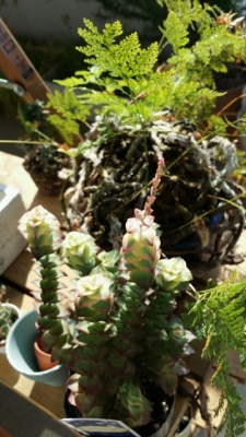 20180430081441.jpg