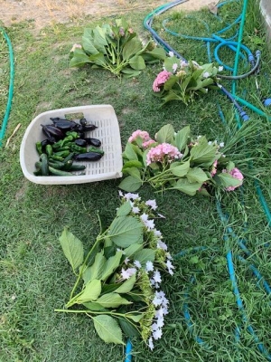 image1.jpeg