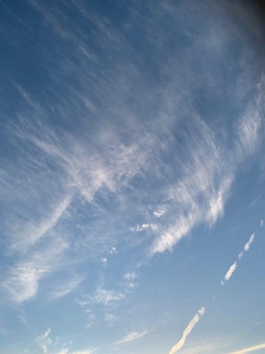 IMG_2756.JPG