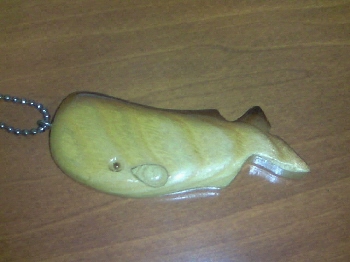 マッコウクジラ