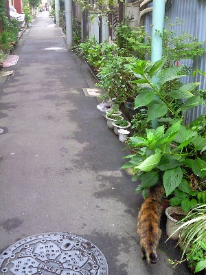 根津