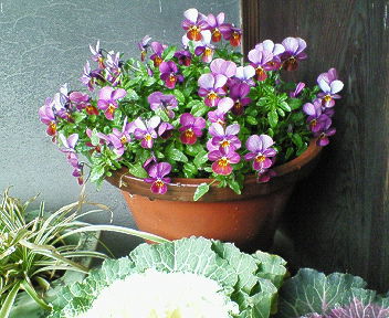 201501221454000.jpg