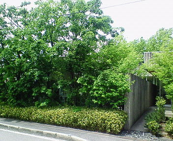 201505061255000.jpg