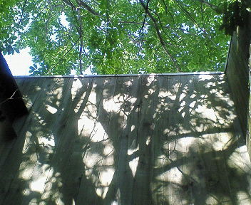 201505291608000.jpg