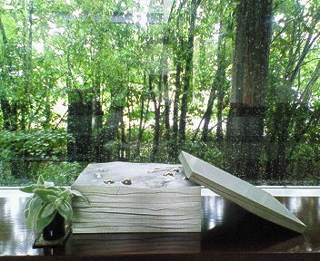 201506031007001.jpg