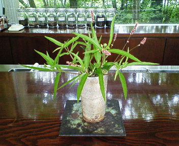 201508280818000.jpg