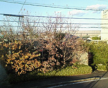 201512271559000.jpg