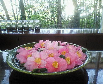 201601021506000.jpg