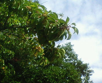 201710011045000.jpg