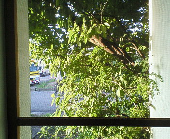 201710111639000.jpg