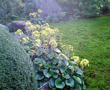 201711091637000.jpg