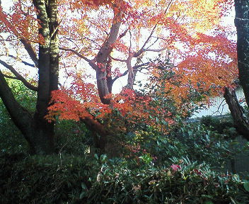 201712010952000.jpg