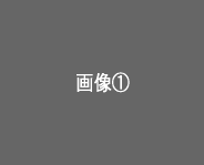 サイトイメージ